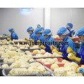 Quality Canned Food Fruit Vegetables Processing Machinery